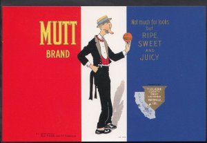 Advertising Postcard - Mutt Brand, California - Fruit - Oranges  Y350