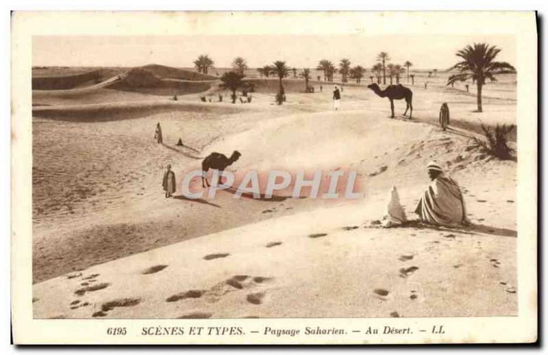 Old Postcard Landscape At dersert Saharan Camel