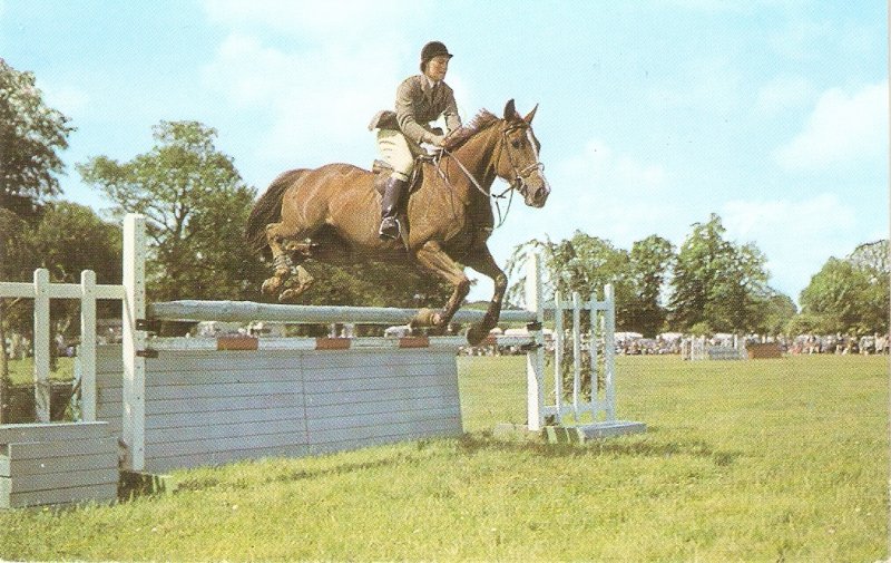 Horse jumping fence Nice vintage Salmon postcard