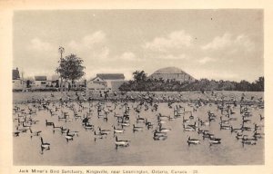 Ducks/Geese Jack Miner's Bird Sanctuary Lemington, Ontario, Canada Unused