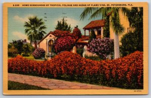 St Petersburg Florida~Home & Hedge of Flame Vine~Vintage Linen Postcard