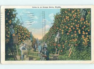 W-Border ORANGE HARVEST Postmarked St. Petersburg Florida FL HM8755