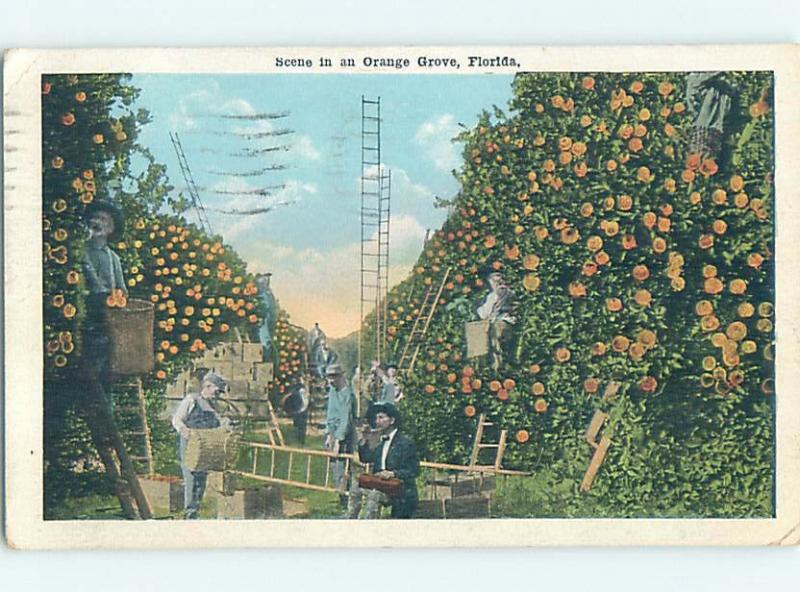 W-Border ORANGE HARVEST Postmarked St. Petersburg Florida FL HM8755