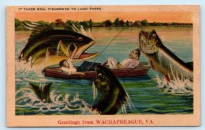 Greetings From WACHAPREAQUE, VA Virginia ~ FISH EXAGERRATION c1940s Postcard