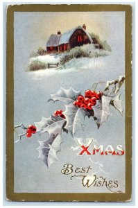 1910 Christmas Holly Berries House Winter Scene Hamel Minnesota MN Postcard