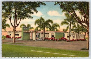 1951 ALICIA APARTMENTS MOTEL ST PETERSBURG FLORIDA VINTAGE LINEN POSTCARD