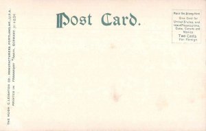 Lewiston Maine Healey Asylum Vintage Postcard AA52858