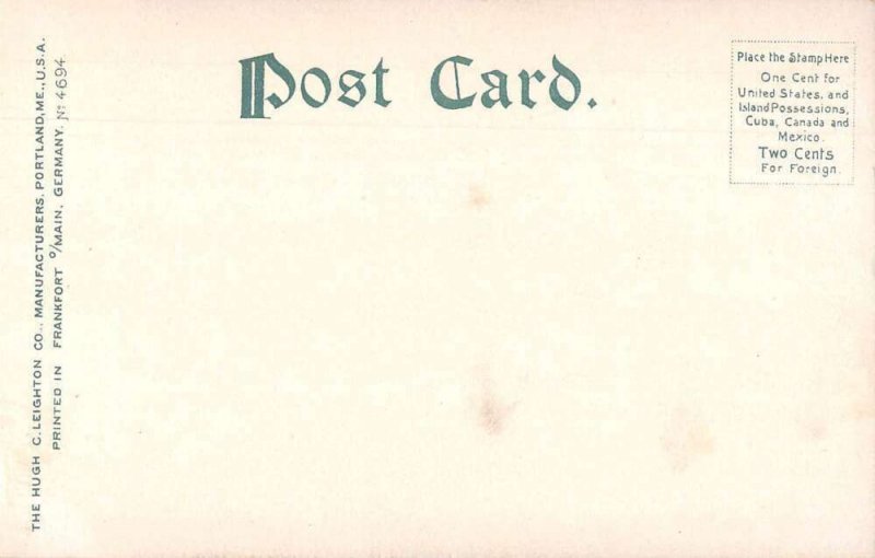 Lewiston Maine Healey Asylum Vintage Postcard AA52858