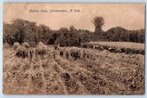 1910 Northeastern North Dakota ND Vintage Postcard Fodder Corn Farm Field Posted