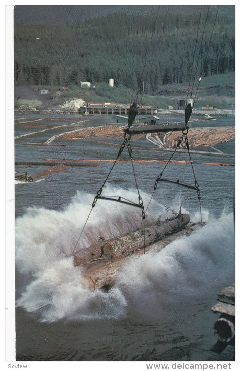 Logs hit tide-water, Logging in Vancouver Island, British Columbia, Canada, 4...