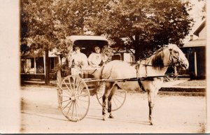 Horses Ladies In Horse Drawn Carriage Real Photo