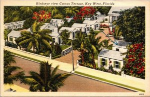 Florida Key West Birdseye View Of Cactus Terrace 1950