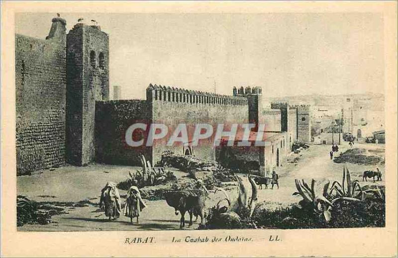 CPA Rabat La Coshab des Oudaias Ane Donkey