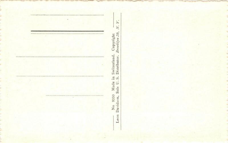 F14/ Cat Animal Postcard c1910 Foreign Humanized Dressed Cats Dolls 4