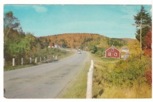 Autumn Colour, Lower Five Islands Near Parrsboro, NS, Vintage Chrome Postcard