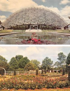 2~Postcards MO St Louis, MISSOURI BOTANICAL GARDENS~SHAWS Climatron~Rose Garden