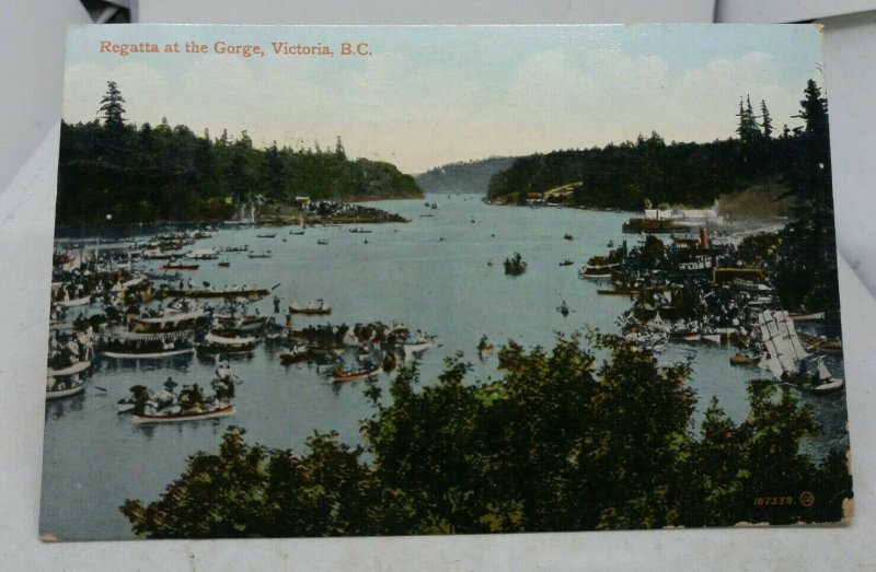 Antique Canadian Postcard Regatta at the Gorge Victoria British Columbia BC 1911