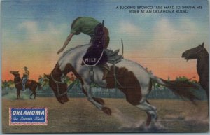 1940s Bucking Bronco Oklahoma Rodeo Linen Postcard