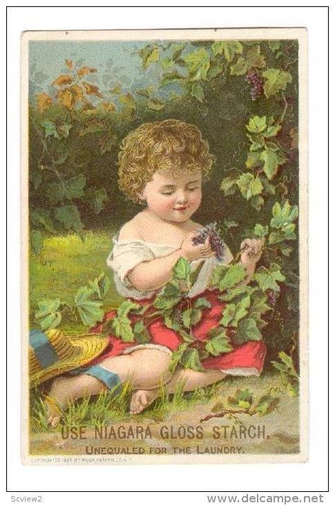 TC  Baby picks grapes, NIAGARA GLOSS STARCH, 1890s