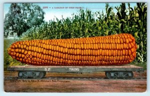 3 Exaggeration Postcards CARLOAD of CORN, CABBAGE & TOMATOES 1910 Mitchell