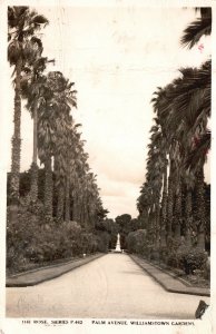 Vintage Postcard View of Palm Avenue Williamstown Gardens Melbourne Australia
