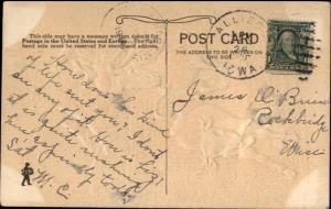 Cowboy Roping Steer Lasso c1910 Postcard - Airbrushed Embossed