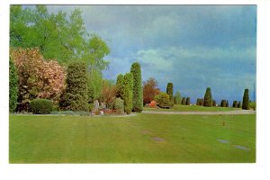 Sculpted Trees, Forest Lawn Memorial Park, Vancouver, British Columbia