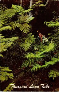 Thurston Lava Tube Hawaii HI Volcanic Landmark Terr Fern Forest VTG Postcard UNP