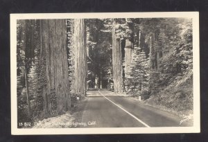 RPPC THRU THE REDWOOD HIGHWAY CALIFORNIA VINTAGE REAL PHOTO POSTCARD