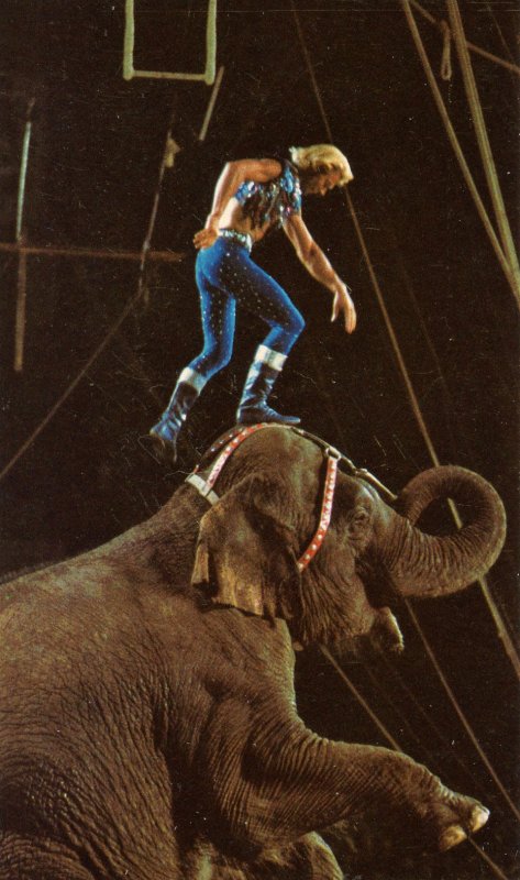 Ringling Bros. & Barnum & Bailey Circus - Gunther Gebel-Williams, Animal Trainer