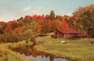 Vintage Postcard New England Farm Lands Early Autumn Beautiful Colors Season