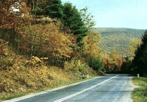 1950s WINDHAM PHOENICIA NY CATSKILLS ONTEORA TRAIL RT 28 CHROME POSTCARD P974