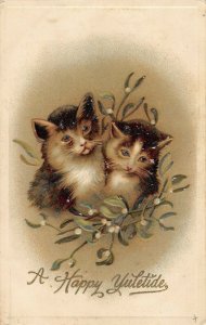 Two Christmas Cats series 1064 c1910 ae109 postcard