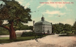 Vintage Postcard 1911 Conservatory Druid Hill Park Public Baltimore Maryland MD