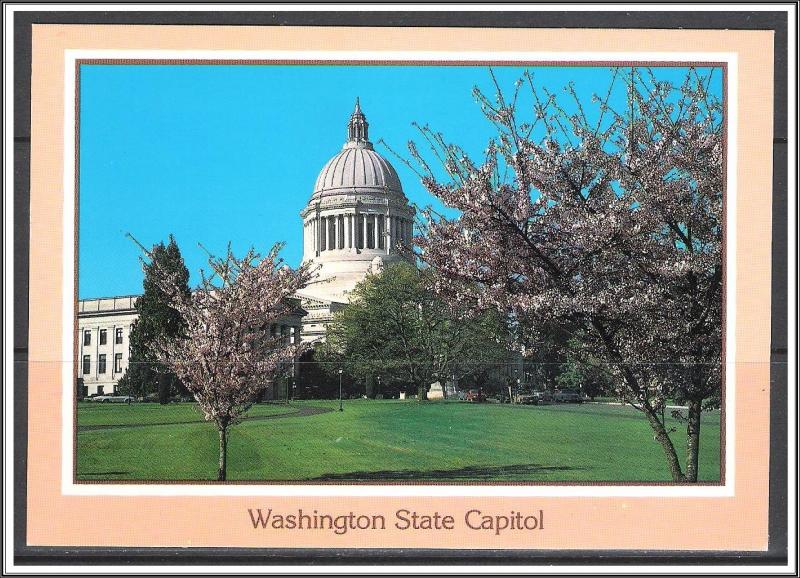 Washington, Olympia Cherry Trees & Capitol Building - [WA-022X]