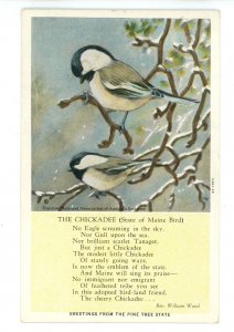 Birds - Chickadee (State of Maine Bird)