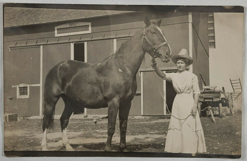 C.1904-1920. Woman In White Dress Handling Large Horse. Draft horse. Barn