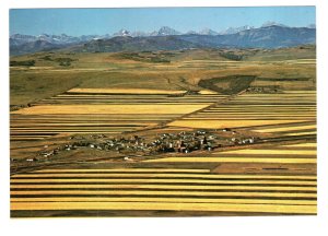 Strip Farming, Rocky Moutains, Alberta, Canada Post Prepaid Postal Stationery