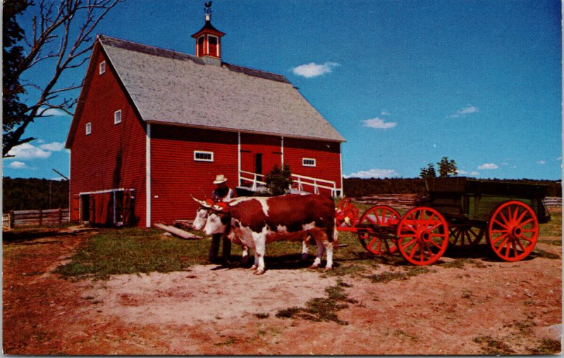 Ross Farm New Ross Nova Scotia NS c1971 Vintage Postcard F15