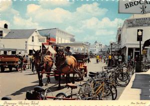 Mackinac Island - Lake Michigan