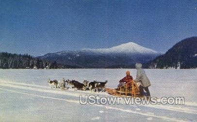 Dog Team - Whiteface, New York NY  