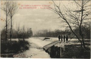 CPA NEGREPELISSE Vue de l'Aveyron (979298)