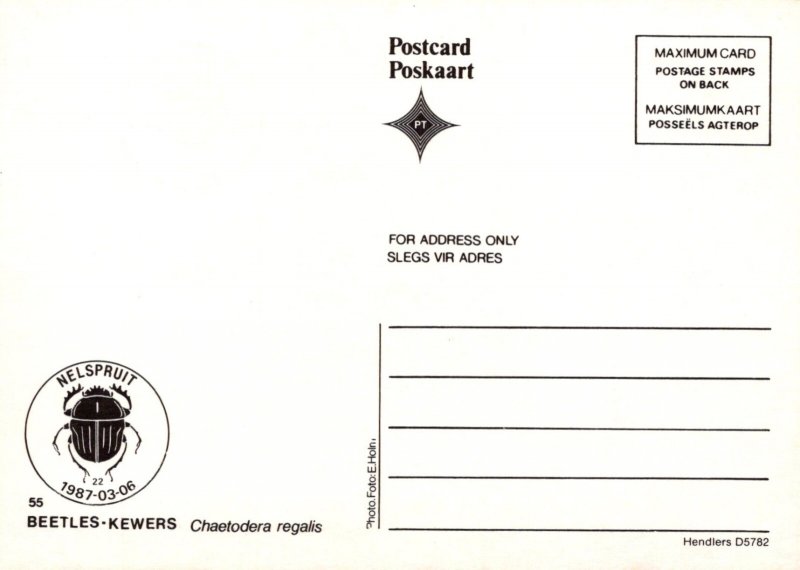 Animals Postcard - South Africa Stamp, Insects, Beetle  RR22708