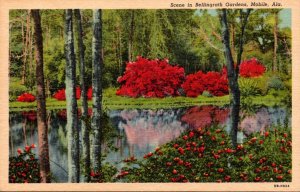 Alabama Mobile Scene In Bellingrath Gardens Curteich