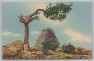 Linen~Wyoming~Sherman Hill~Tree Over Ames Monument~Vintage Postcard