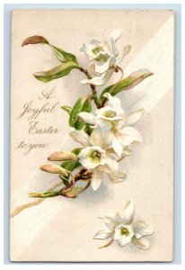 Circa 1910 Easter White Orchid Postcard F43E