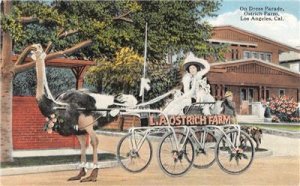 On Dress Parade OSTRICH FARM Los Angeles CA Ostrich Cart c1910s Vintage Postcard