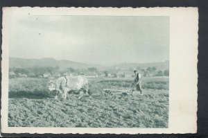 Farming Postcard - Agriculture - Ploughing The Fields RS20424