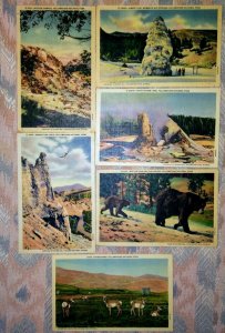 Six VINTAGE HAYNES Yellowstone National Park UNPOSTED POSTCARDS