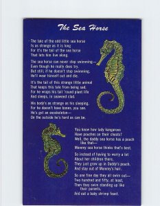 Postcard The Sea Horse